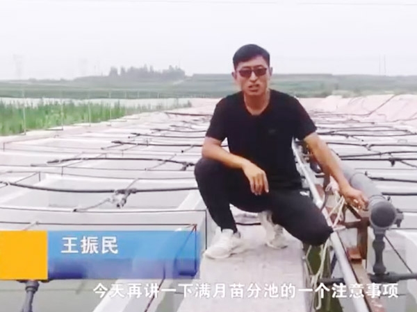 云顶国际满月苗确当苦衷项