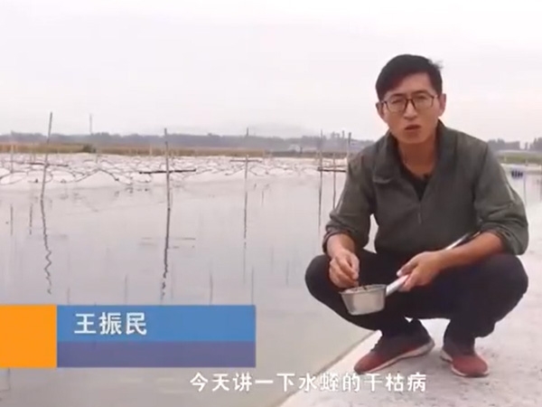 云顶国际干枯病产生涯法规及防治步骤