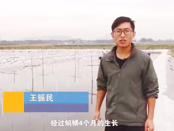 云顶国际收成流程