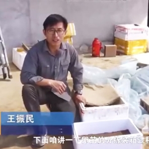 虫卵分拣装箱教程