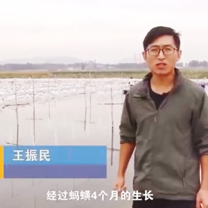 云顶国际收成流程